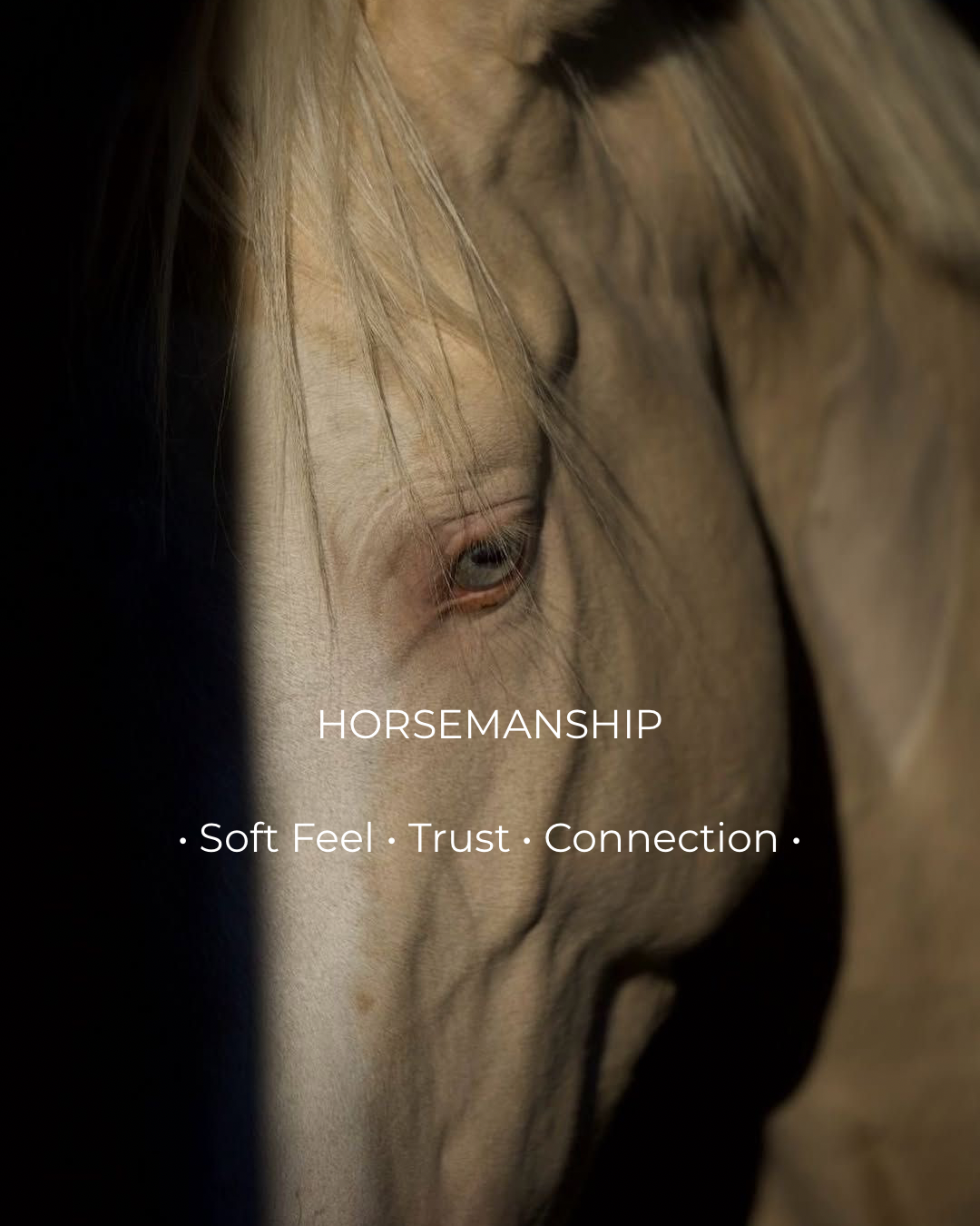 Horsemanship