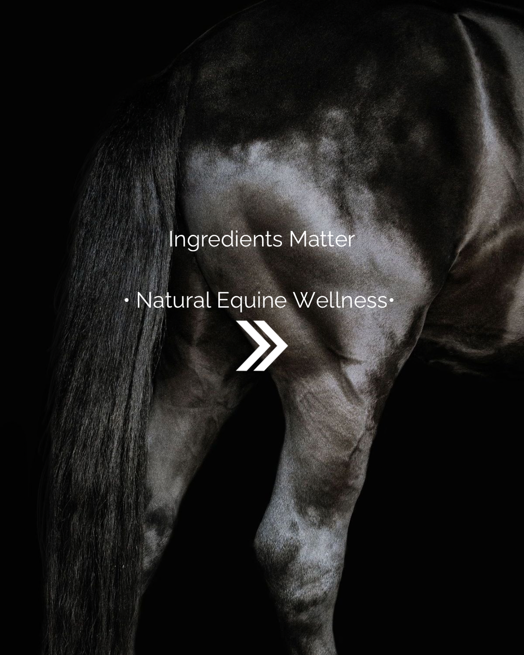 Ingredients Matter 🌿