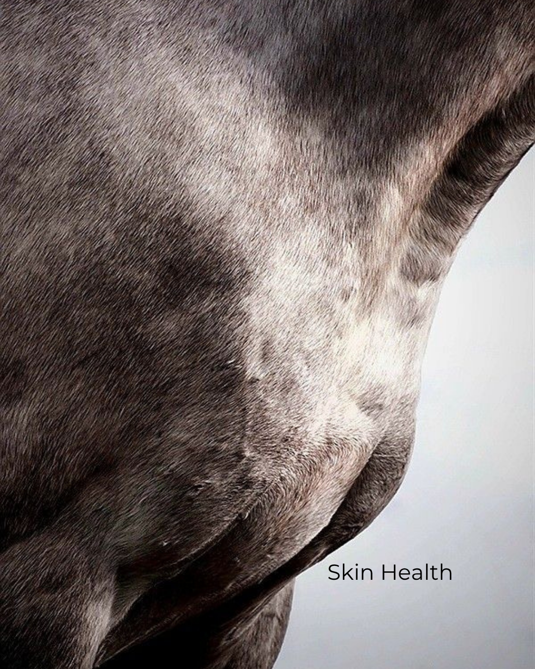 SKIN HEALTH 🌿
