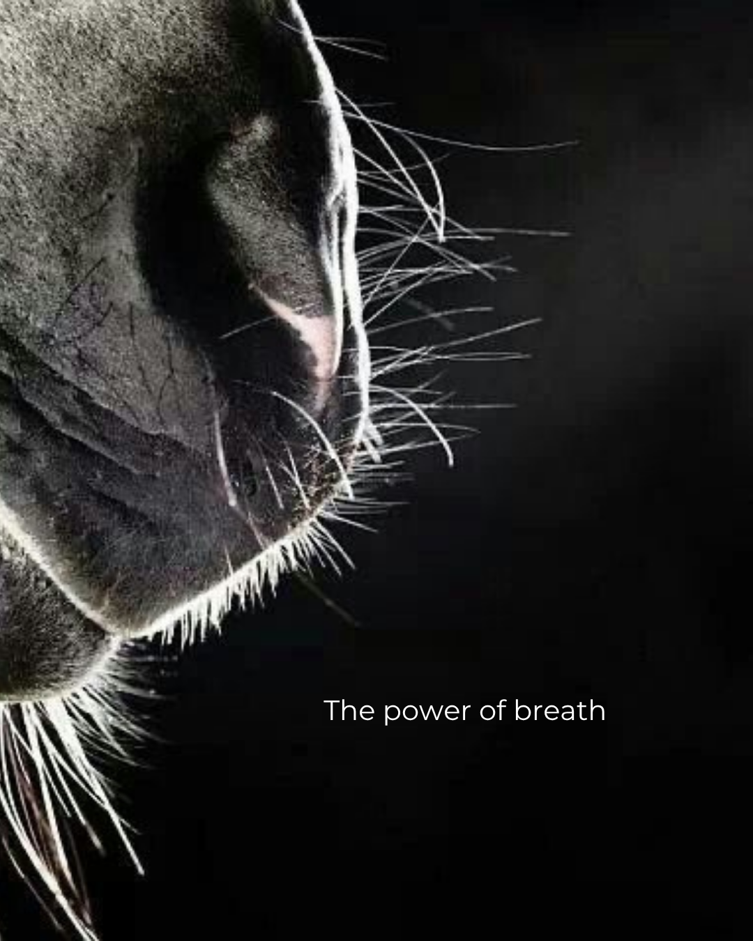 The power of breath. ☁️